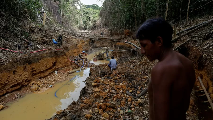 Estudo aponta 321 pontos de mineração ilegal de ouro na Amazônia... 