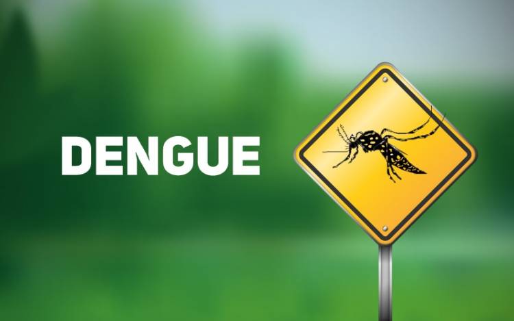 Saúde registra 87 casos suspeitos de dengue em Três Lagoas