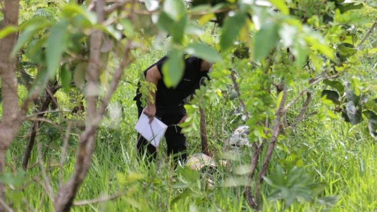 Pedestre é atropelado por caminhonete, arremessado e corpo encontrado 1h depois em matagal