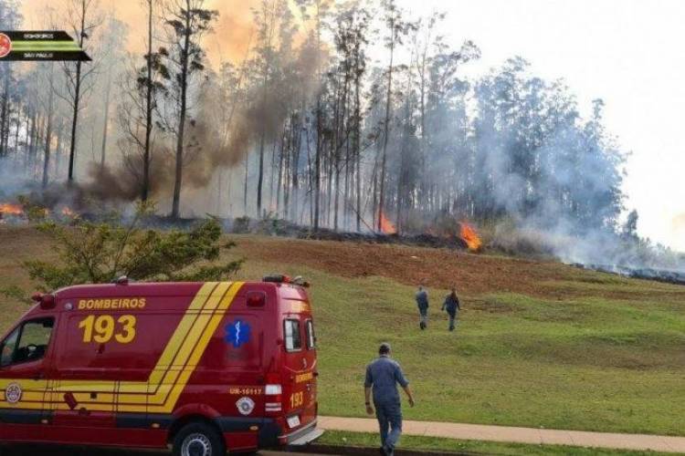 Avião com quatro pessoas a bordo cai em Piracicaba