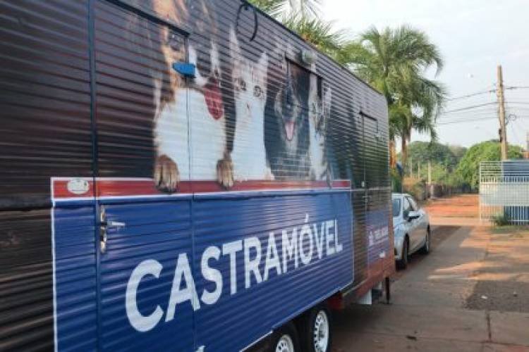 Castramóvel segue atendendo cães e gatos na USF Vila Alegre