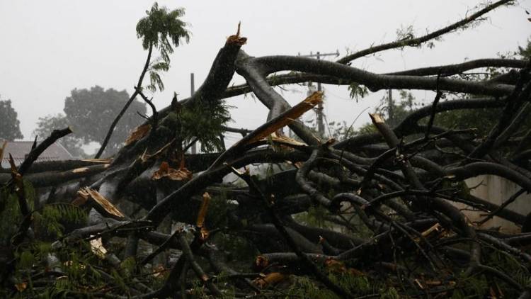 Cidade com vento de 116 km/h no temporal, Ribas do Rio Pardo teve 30 casas destelhadas