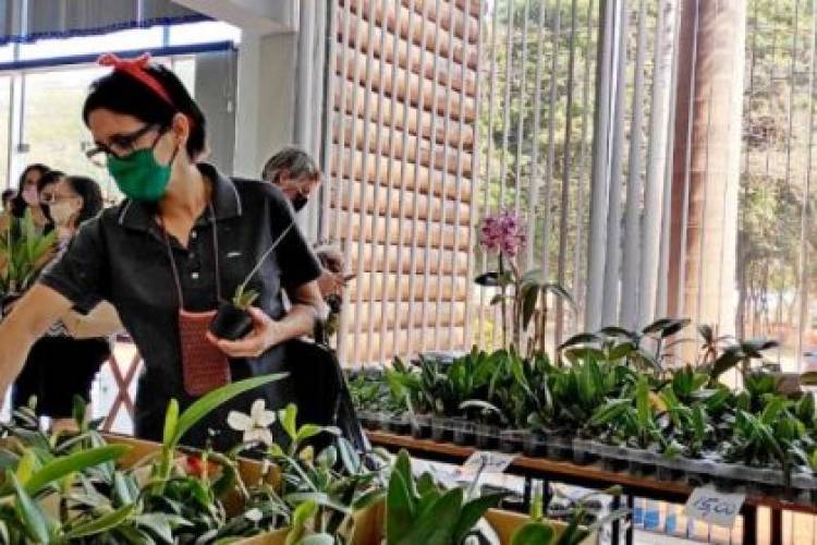 Orquidário Santa Ana realiza feira de orquídeas em Três Lagoas