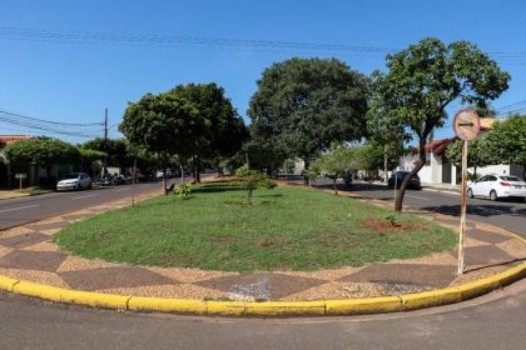 Plantio de árvores em canteiro central, praças e rotatórias é proibido e pode gerar multa