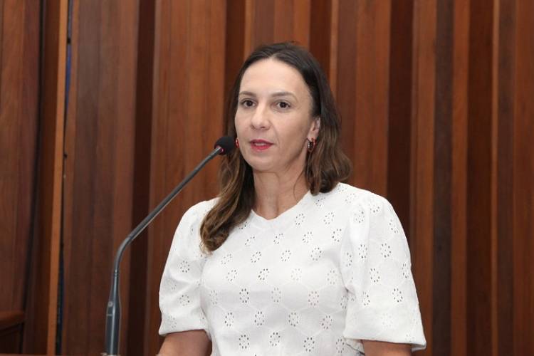 MPMS apresenta relatórios de gestão fiscal à Comissão de Execução Orçamentária da ALEMS