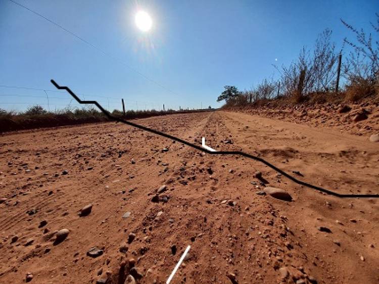 Três Lagoas  recebeu  mais  de R$ 24 milhões de repasse de  IPVA em 2021