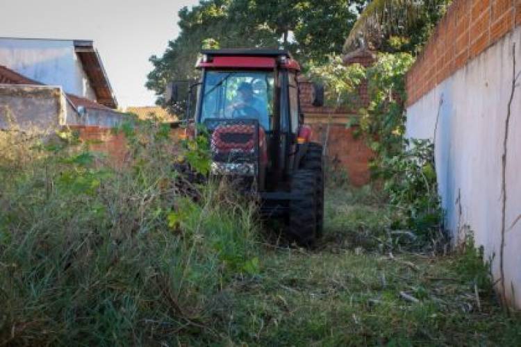 Prefeitura inicia limpeza de terrenos sujos em Três Lagoas