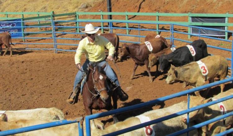 Campeonato de Ranch Sorting será realizado neste fim de semana