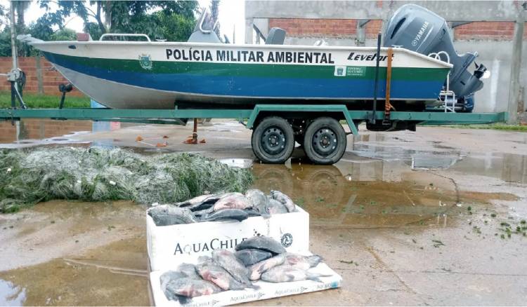 PMA de Três Lagoas apreende 600 metros de redes de pesca no rio Paraná e recolhe 31 kg de peixes e doa para instituição que atende famílias em vulnerabilidade