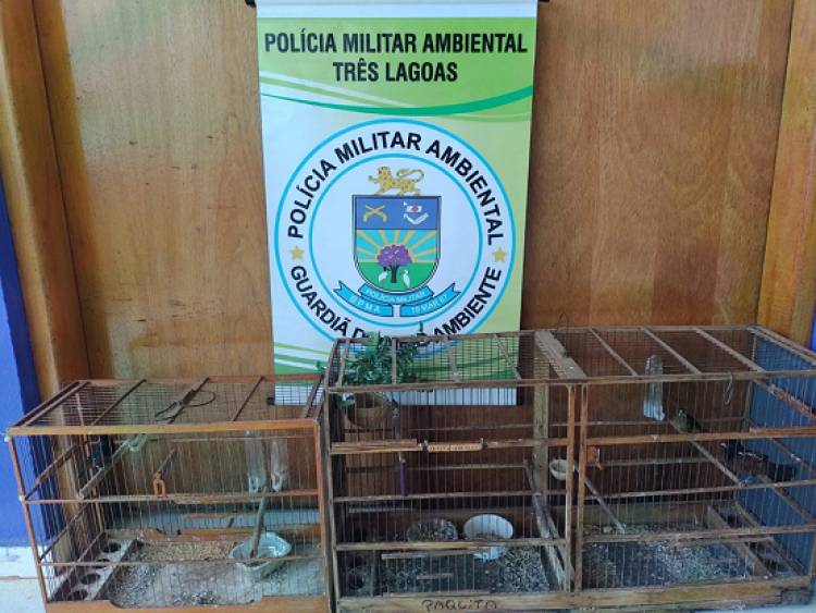 Polícia Militar Ambiental de Três Lagoas autua infrator em R$ 1,5 mil por manter pássaros silvestres ilegalmente em cativeiro