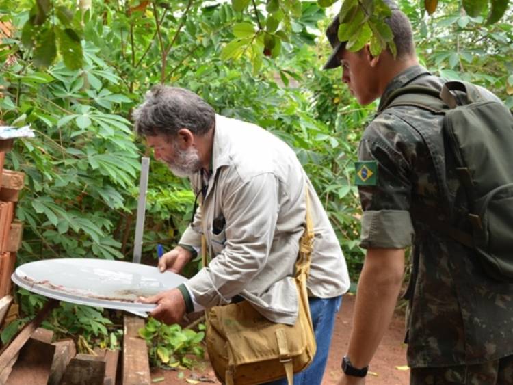 Bairro Vila Nova tem maior incidência de dengue e Saúde fará mutirão contra mosquito