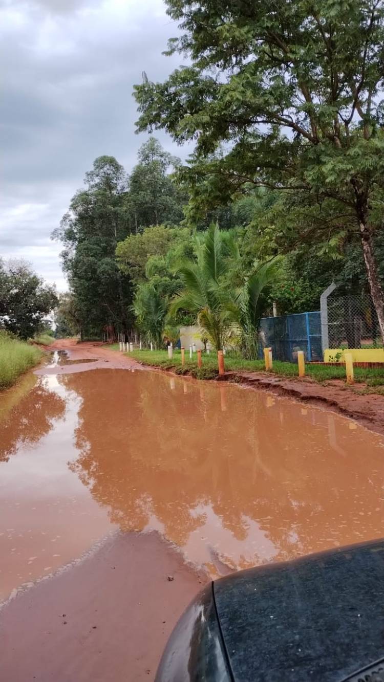 Estrada vicinal TL-19 está em péssima condição e secretário diz ao vereador David Martinelli que não é prioridade 