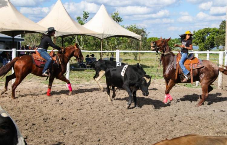 Ranch Sorting “Estância Rebucci” supera expectativas e atrai mais de 700 pessoas. Veja as fotos