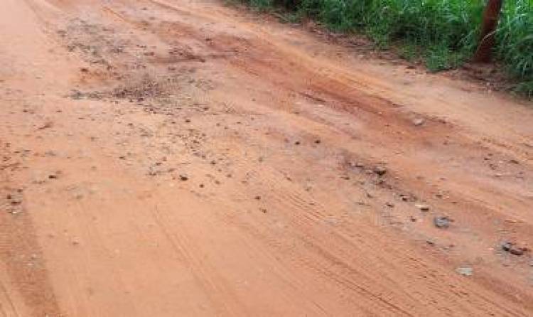 Moradores e Rancheiros das áreas ribeirinhas já não sabem o que fazer com a falta de manutenção nas estradas