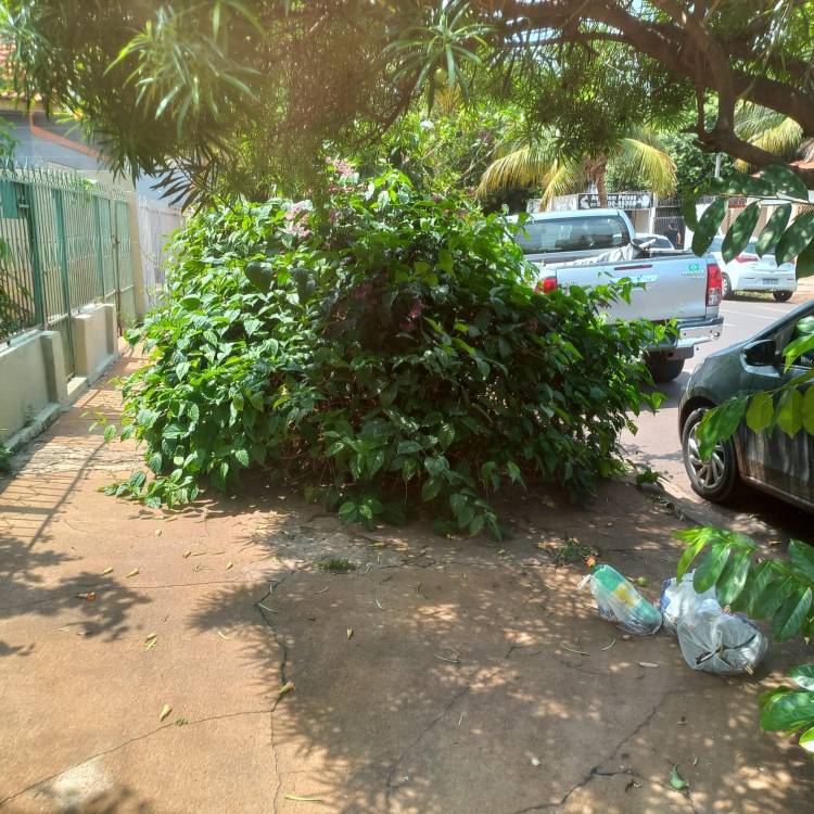 Prefeitura omissa não pune proprietários por falta de manutenção nas  calçadas 