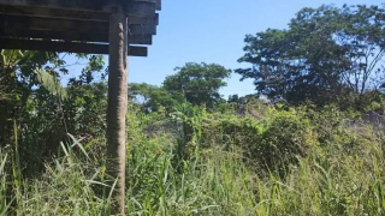 Famílias do Cinturão Verde afetadas pela obra do contorno rodoviário estão abandonadas 