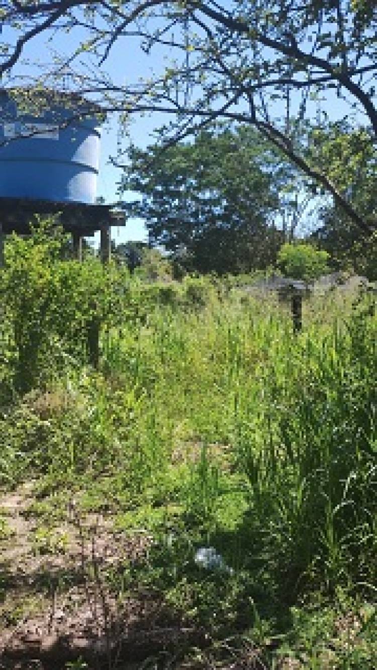 Famílias do Cinturão Verde afetadas pela obra do contorno rodoviário estão abandonadas 