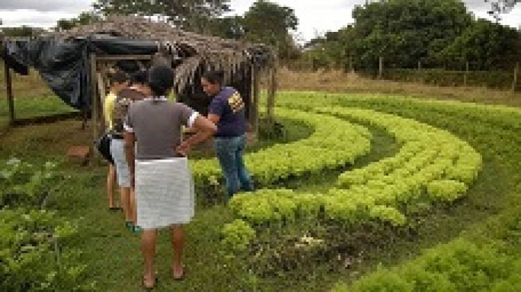 Famílias do Cinturão Verde afetadas pela obra do contorno rodoviário estão abandonadas 