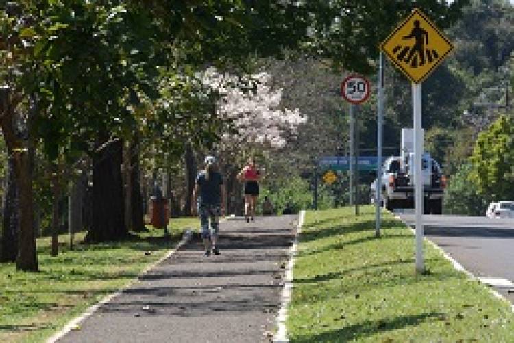 MPE quer desvendar manobra que levou juíza “surpresa” a liberar desmatamento no Parque