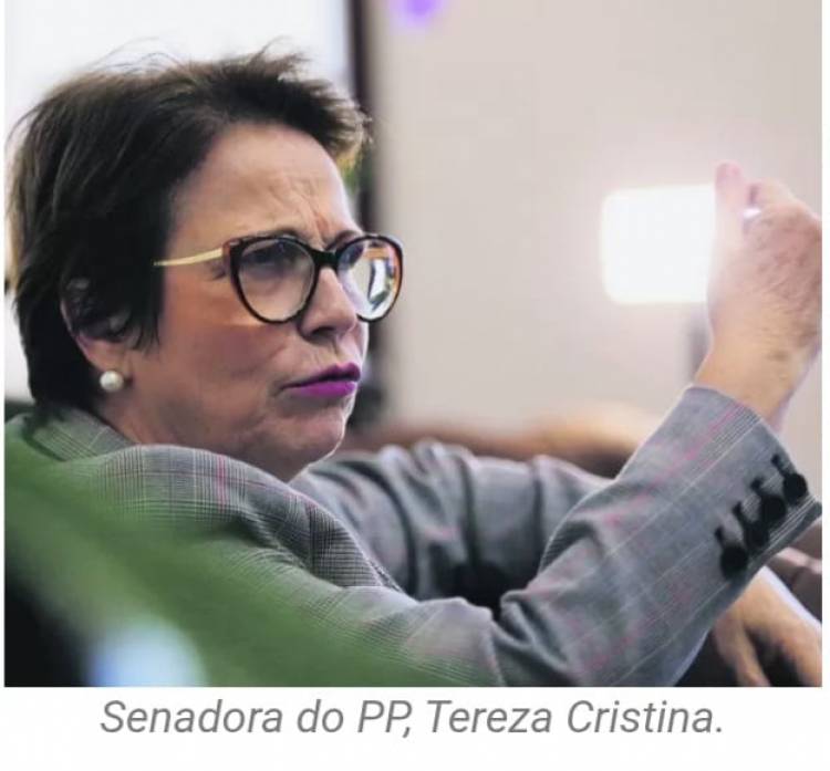 Senadora diz que fusão partidária entre Republicanos e PP está “ajustada”