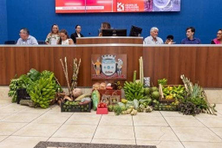  Câmara debate regularização fundiária em audiência pública e demandas serão levadas ao prefeito