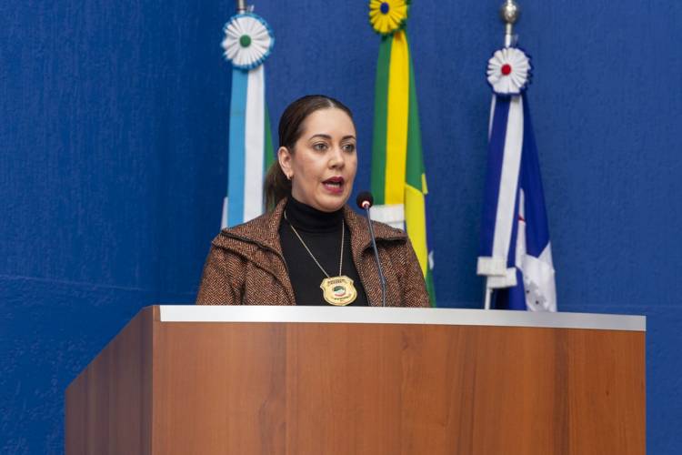 Vereadores autorizam repasse para evento de judô e transparência em listas de Ceis e escolas municipais