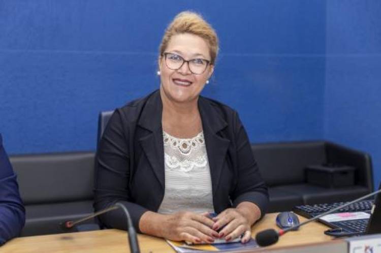 Vereadores aprovam retomada de área e instituem logomarca oficial da Câmara